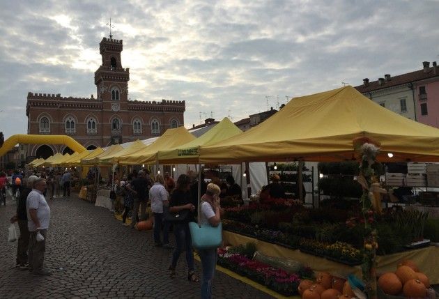 f2_0_prosegue-la-festa-della-zucca-a-casalmaggiore-campagna-amica-in-piazza-garibaldi
